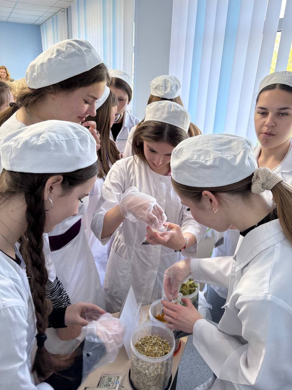 Майстер-клас «Профілактика захворювань ВДШ фітокомпозиціями»